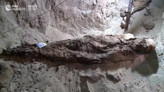 В Египте археологи обнаружили 17 мумий в подземной гробнице