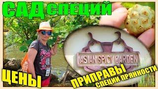 САД СПЕЦИЙ/ЦЕНЫ/Asian Spicy Garden/ПАТТАЙЯ/ТАЙЛАНД/PATTAYA/THAILAND/