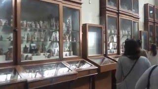 Egypt, Cairo, Egyptian Museum, February 2016#Египет,Каир,Египетский музей,февраль 2016
