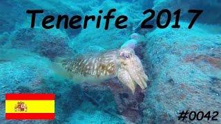 0042 Diving Tenerife 2017